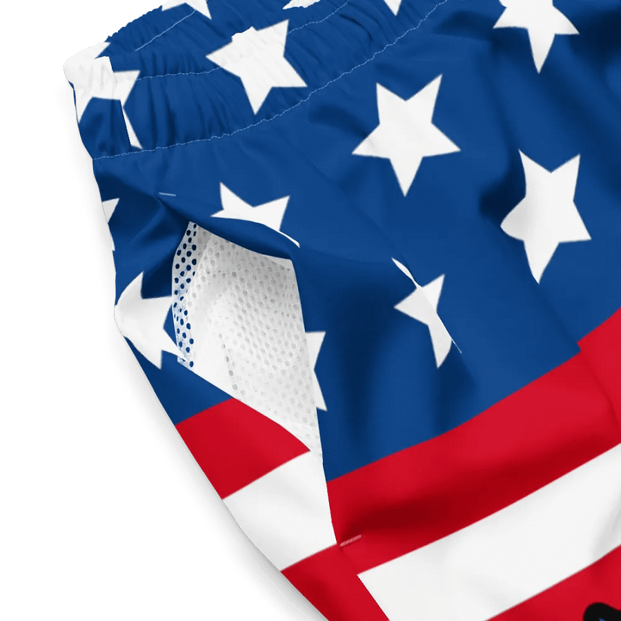 Swim Trunks: Proud American product image (4)