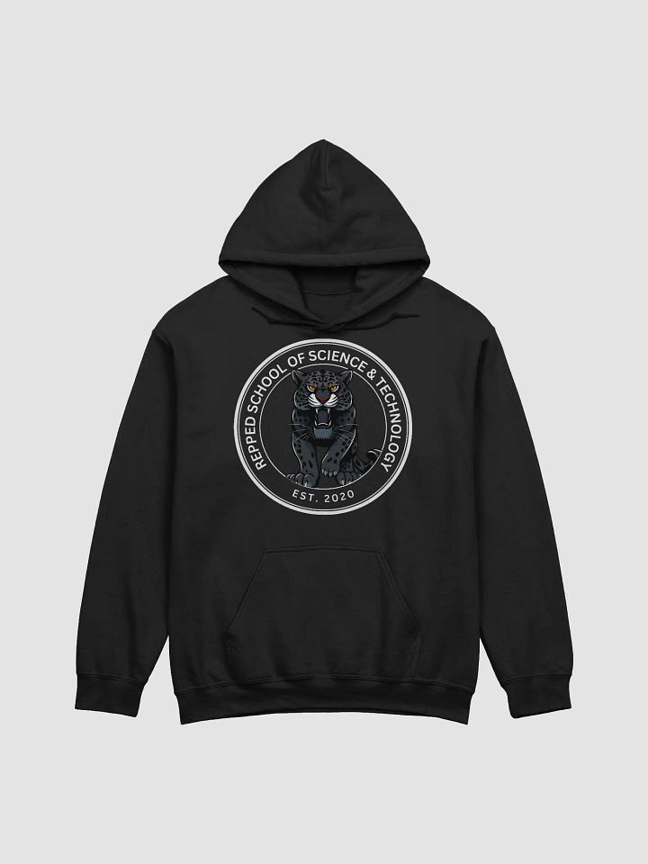 RS Hoodie product image (1)