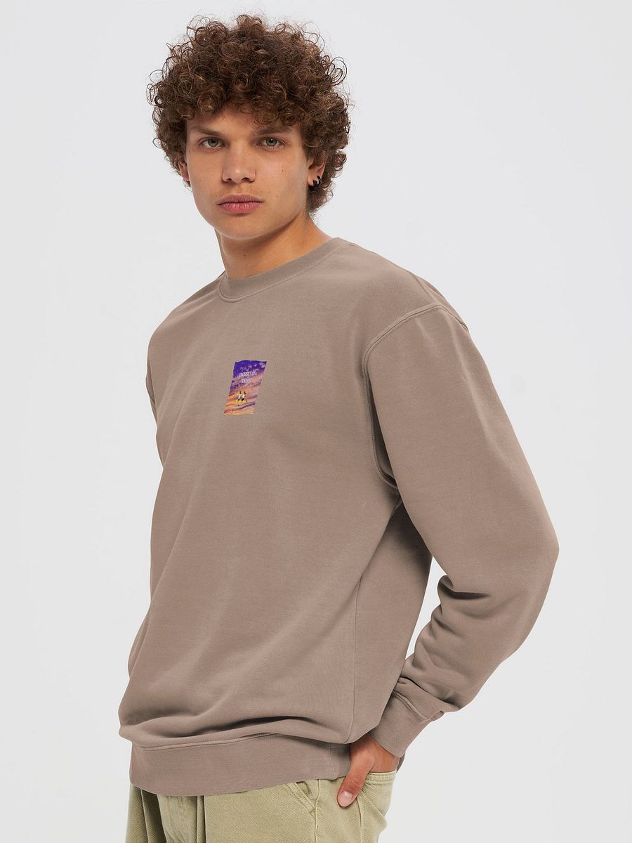 pierist view point product image (5)