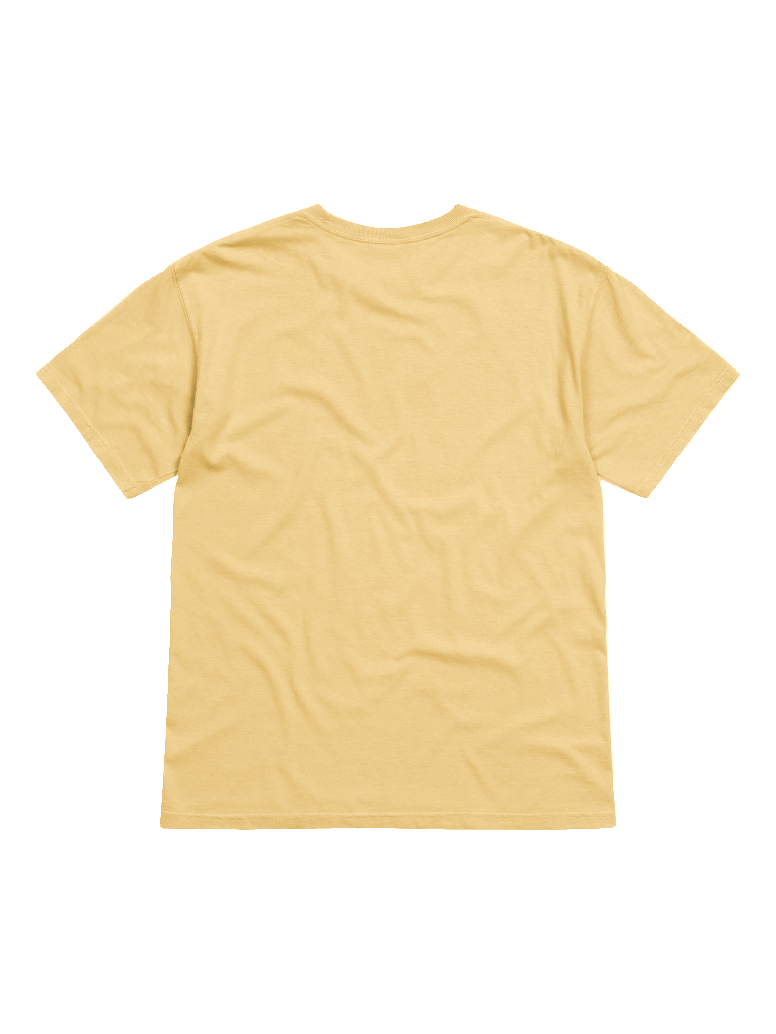 Soar High Comfort: Garment-Dyed Tee product image (3)