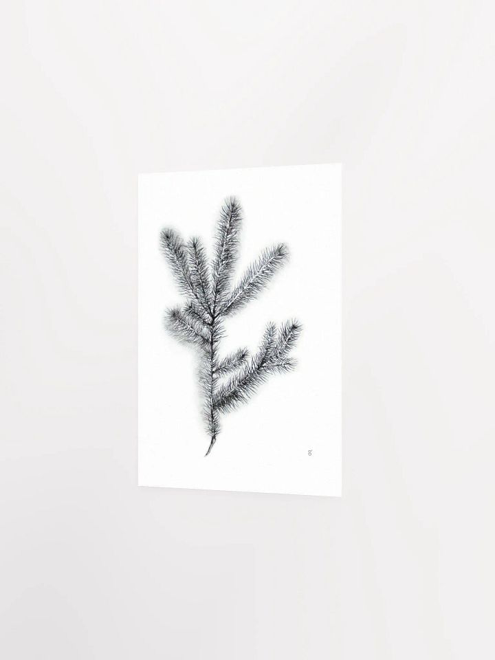 Whimsical Coniferous Branch Poster - Spruce Branch product image (2)