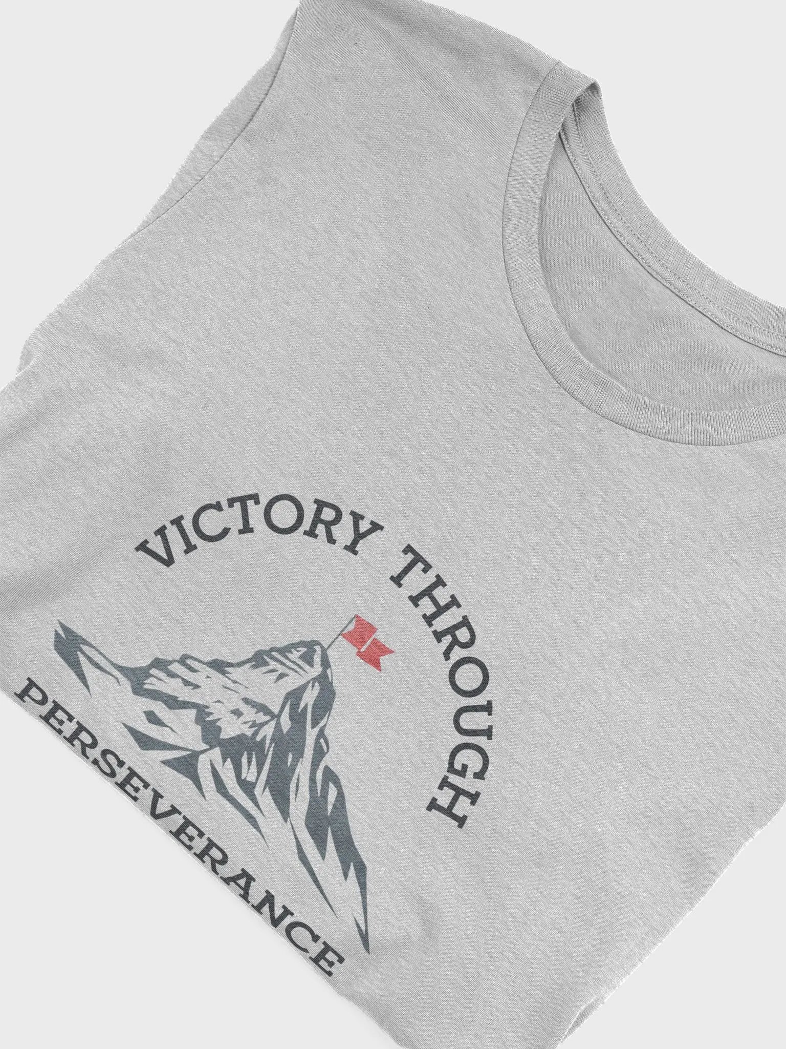Victory Through Perseverance T-Shirt product image (38)