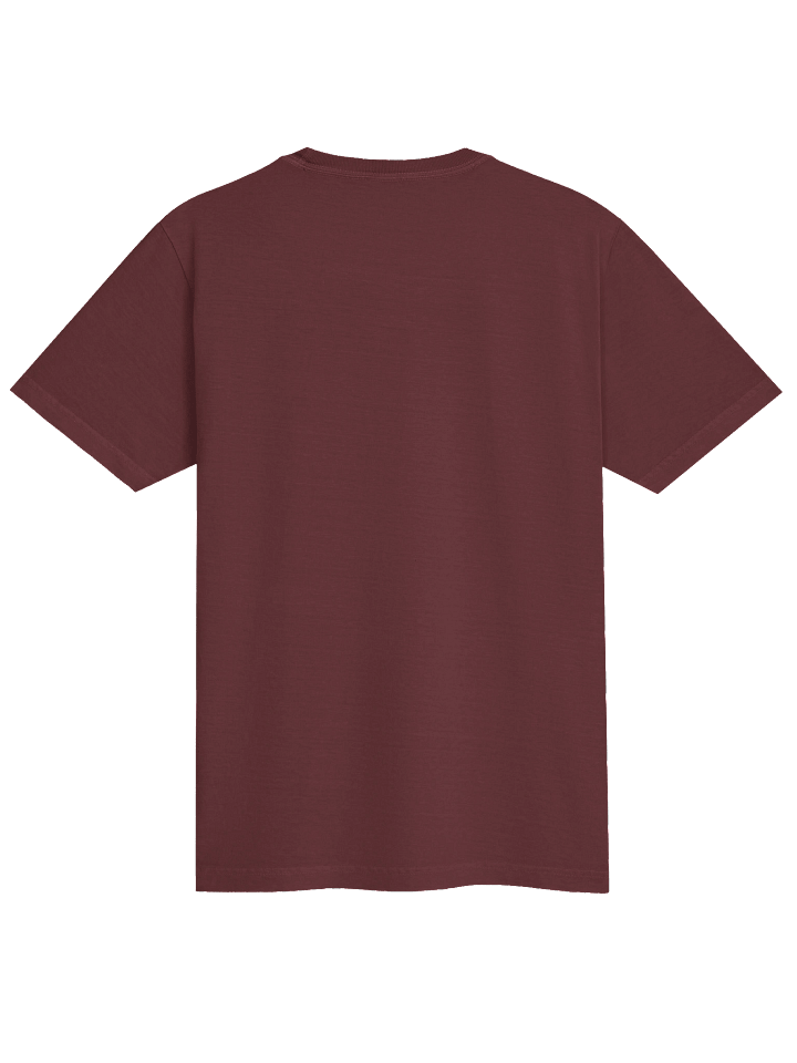 Oversized Tee | White Alpha-1 Wrestling Logo Centred product image (6)