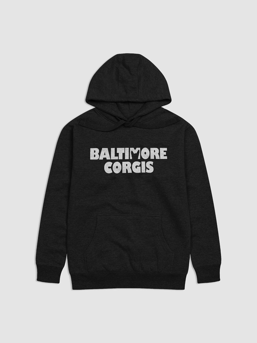 Baltimore Corgis (White) Hoodie product image (4)