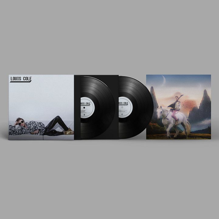 QUALITY OVER OPINION - VINYL product image (1)