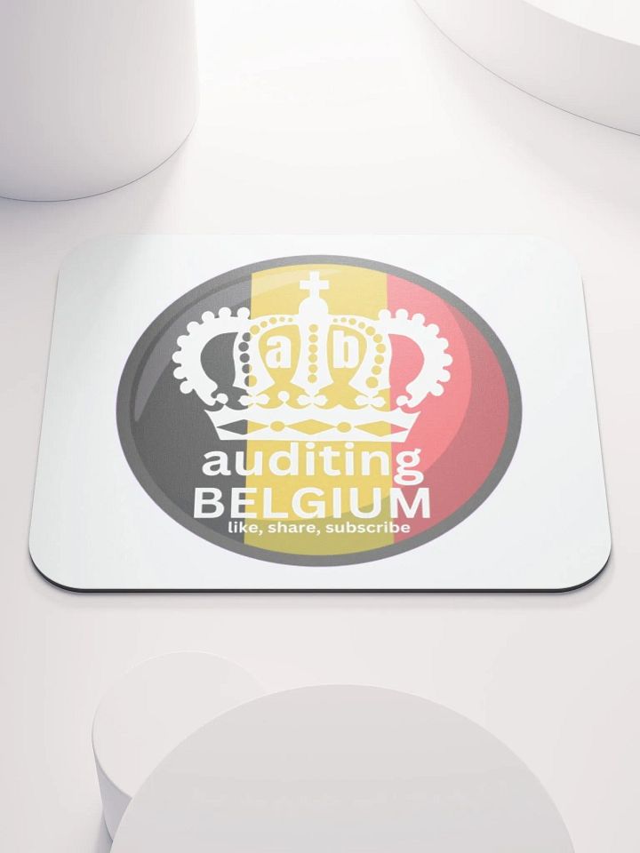 AUDITING BELGIUM product image (1)