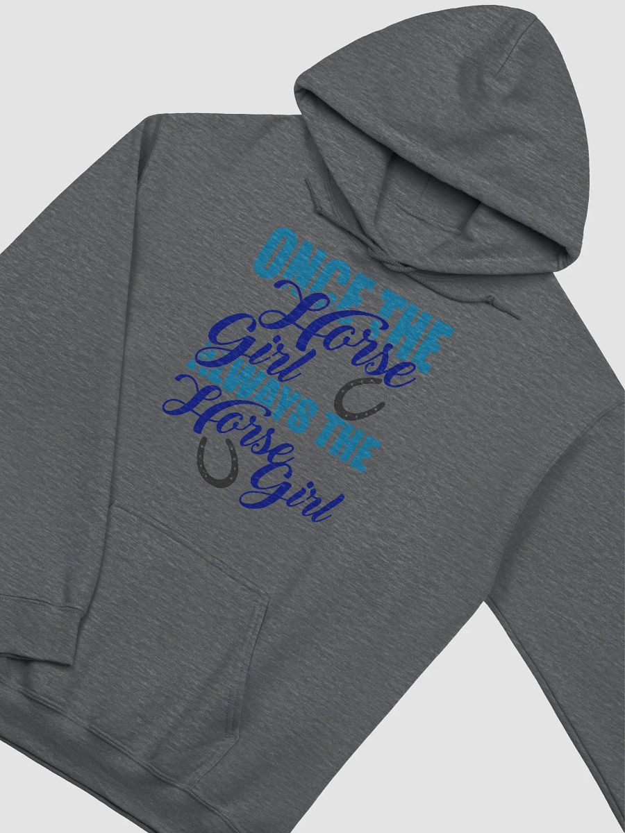 Always the horse girl - hoodie product image (19)