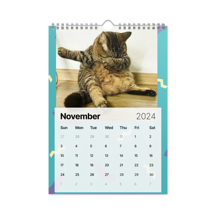 Wall Calendar (2024): Meme Cats product image (15)