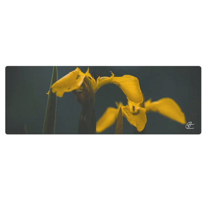 Little Yellow Yoga product image (1)