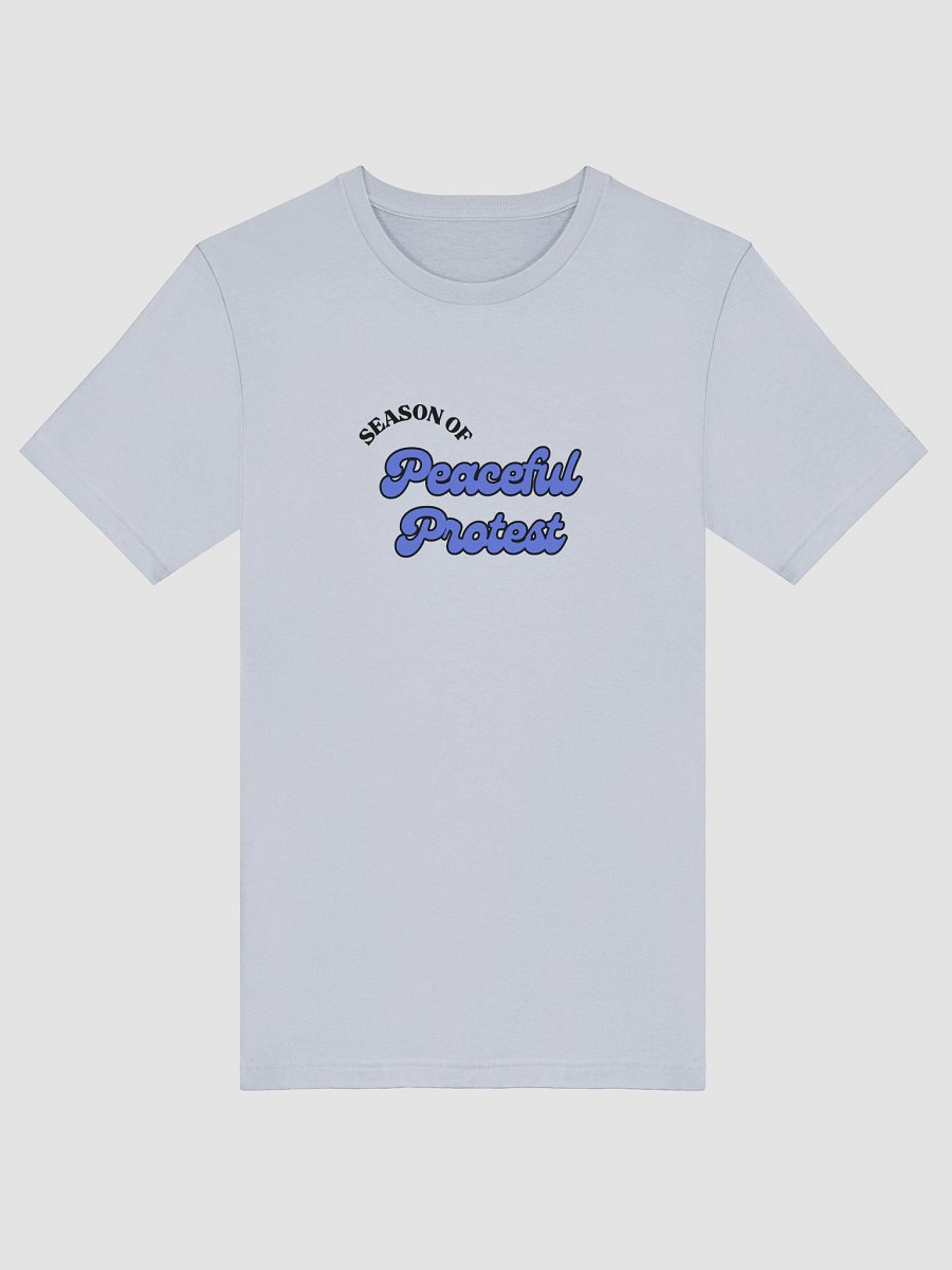TMTS Season of Peaceful Protest product image (47)
