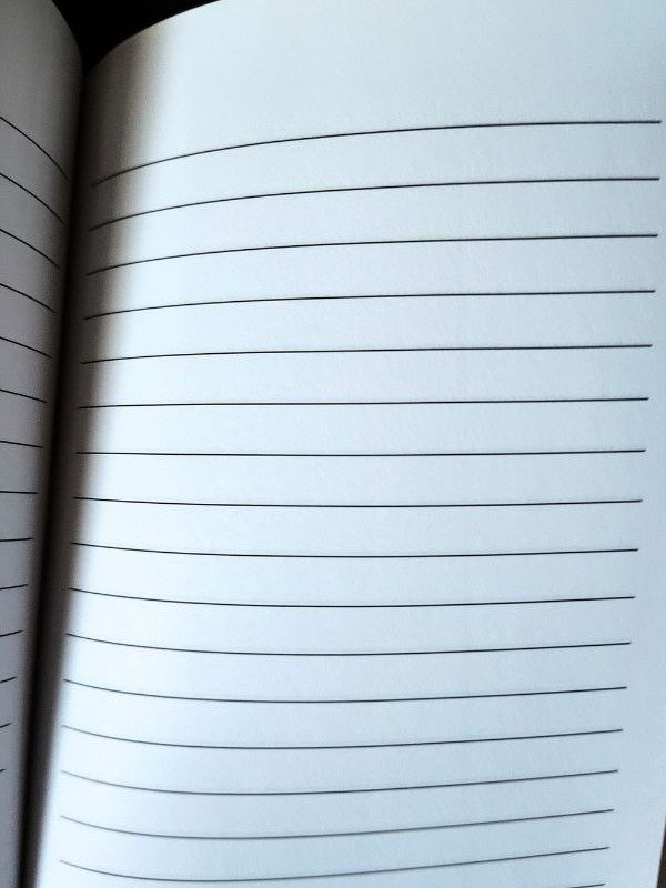 A Writer's Journal: With Plotting Guide - KOI Fish (First Edition) product image (3)