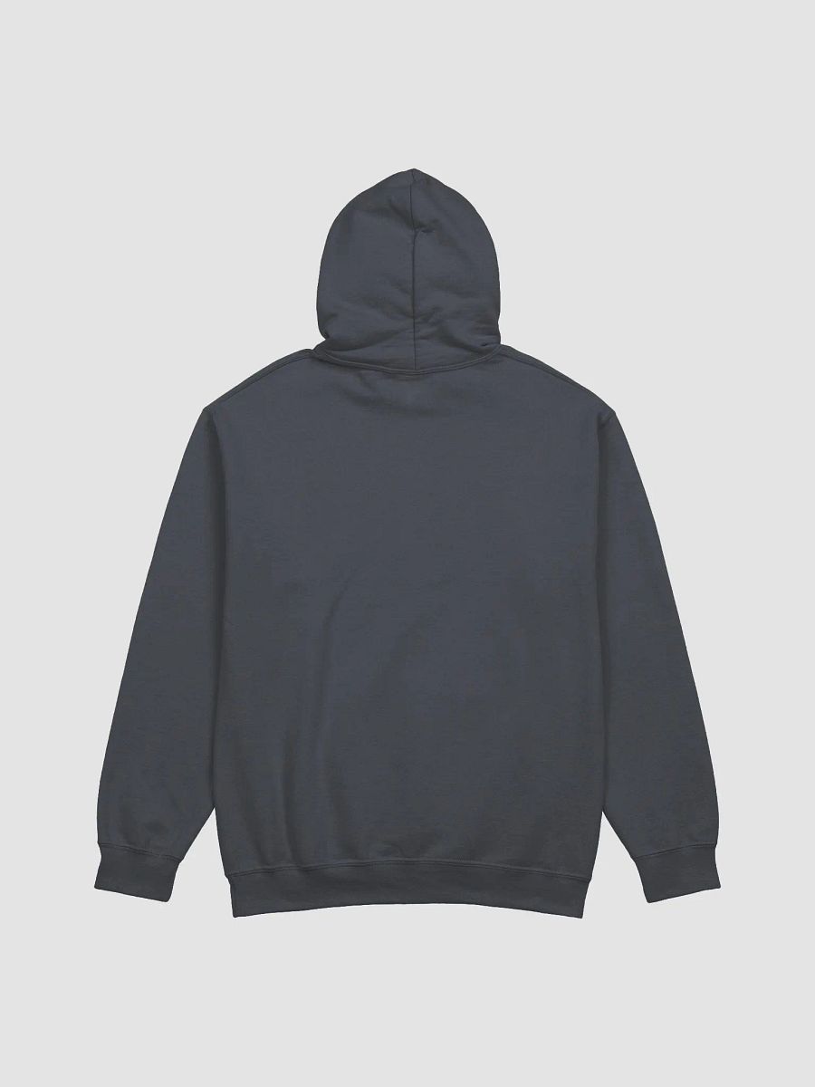 ST 4 Hoodie product image (18)