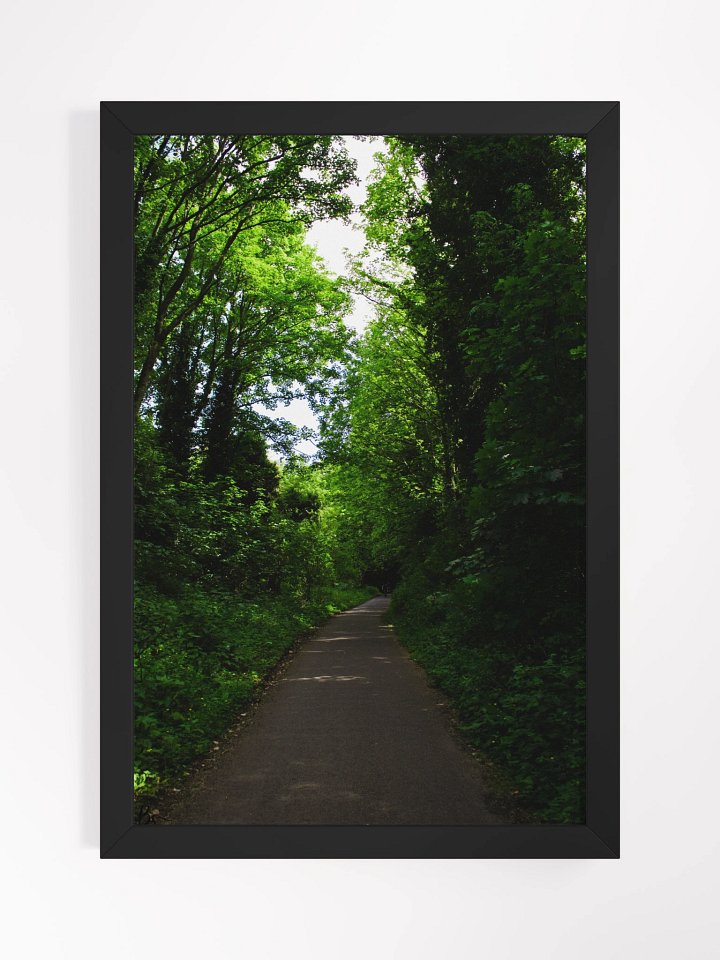 Vibrant Forest product image (1)