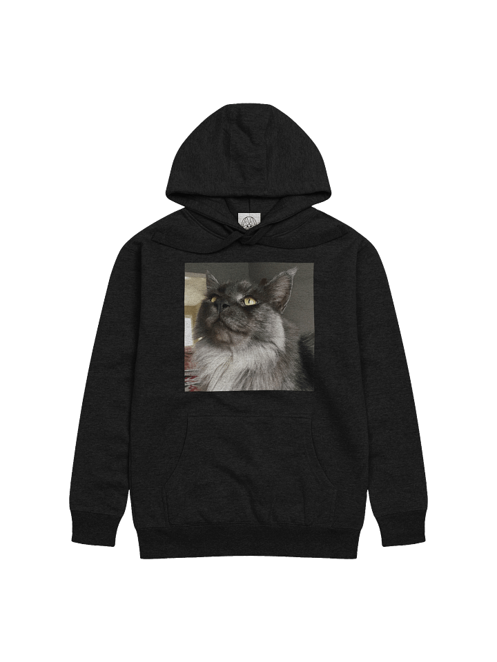 'The Weather Kitty' Mr. Loki product image (8)