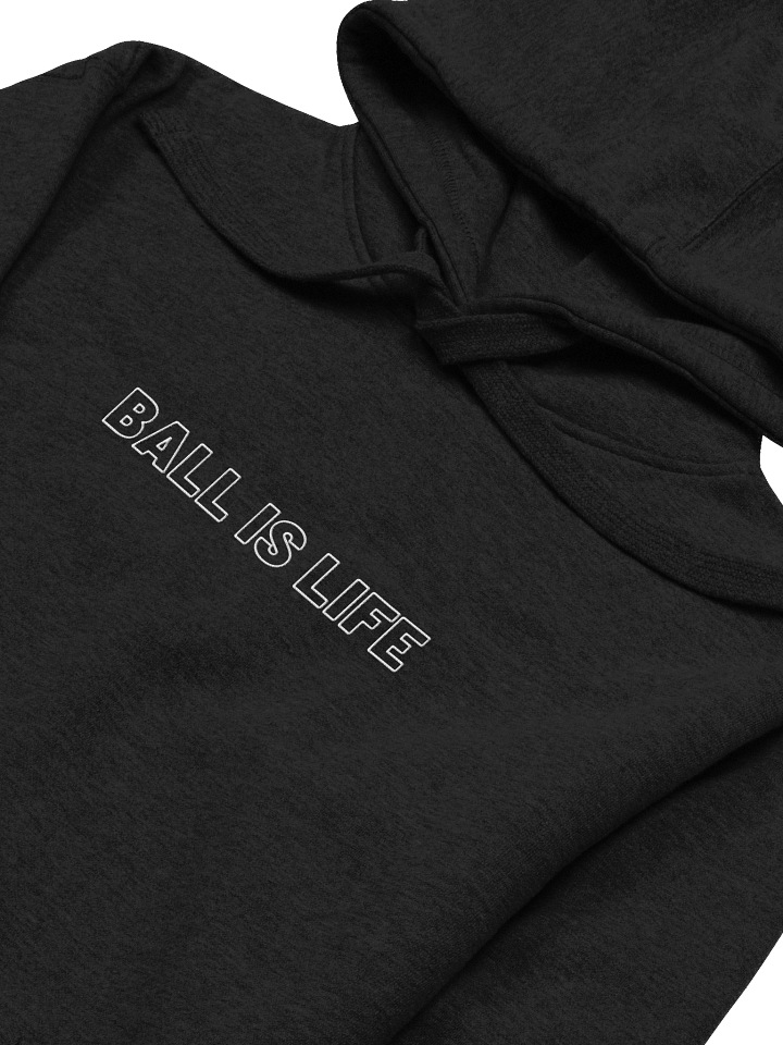 BALL IS LIFE Embroidered Hoodie product image (2)