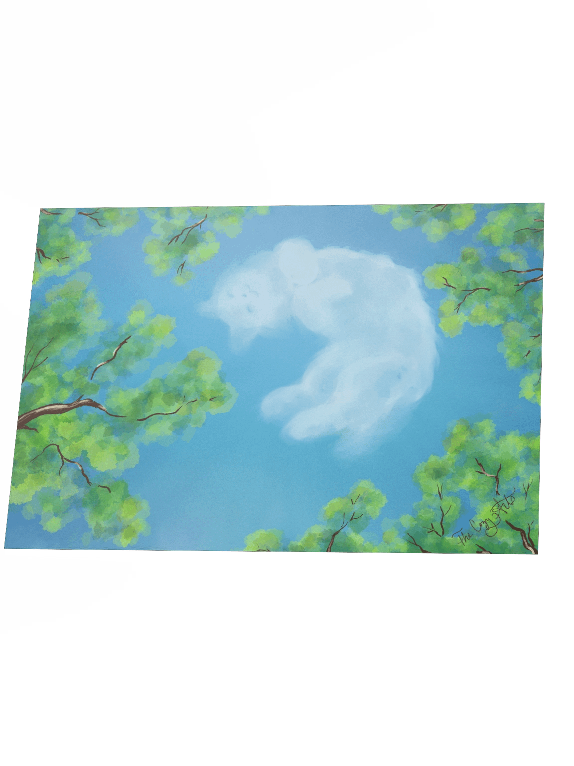 All We See Is Sky product image (18)