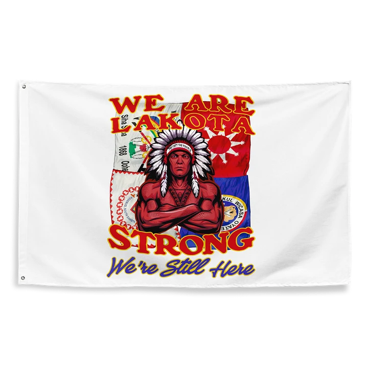 Lakota Pride Flag product image (2)