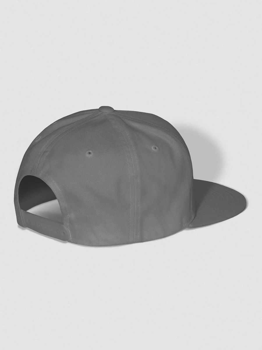TW Logo Flat Snapback Cap product image (5)