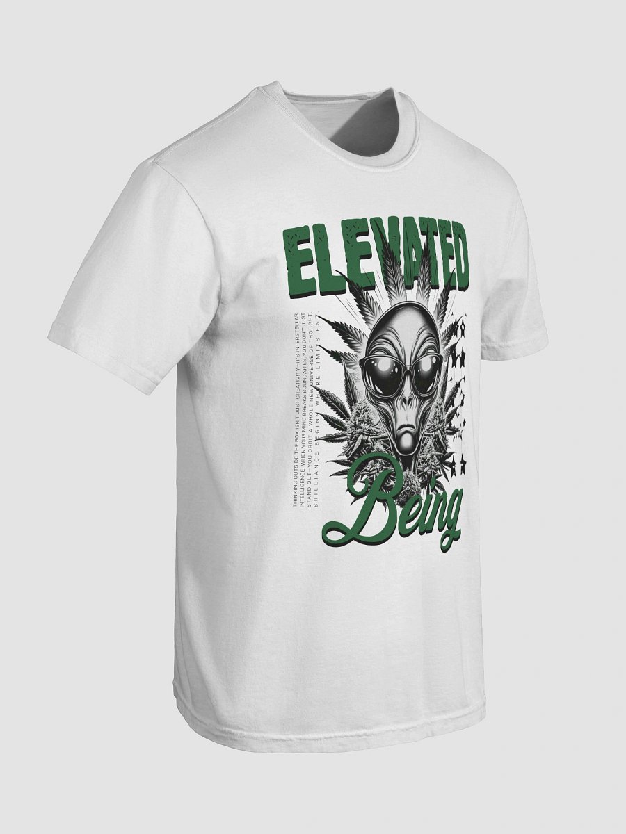Men's Elevated Being T-Shirt product image (4)