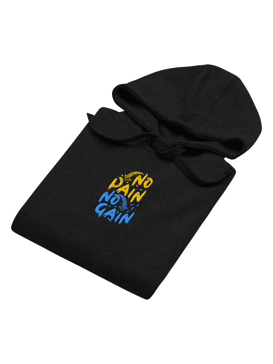No Pain No Gain! Center Embroidered Hoodie product image (4)