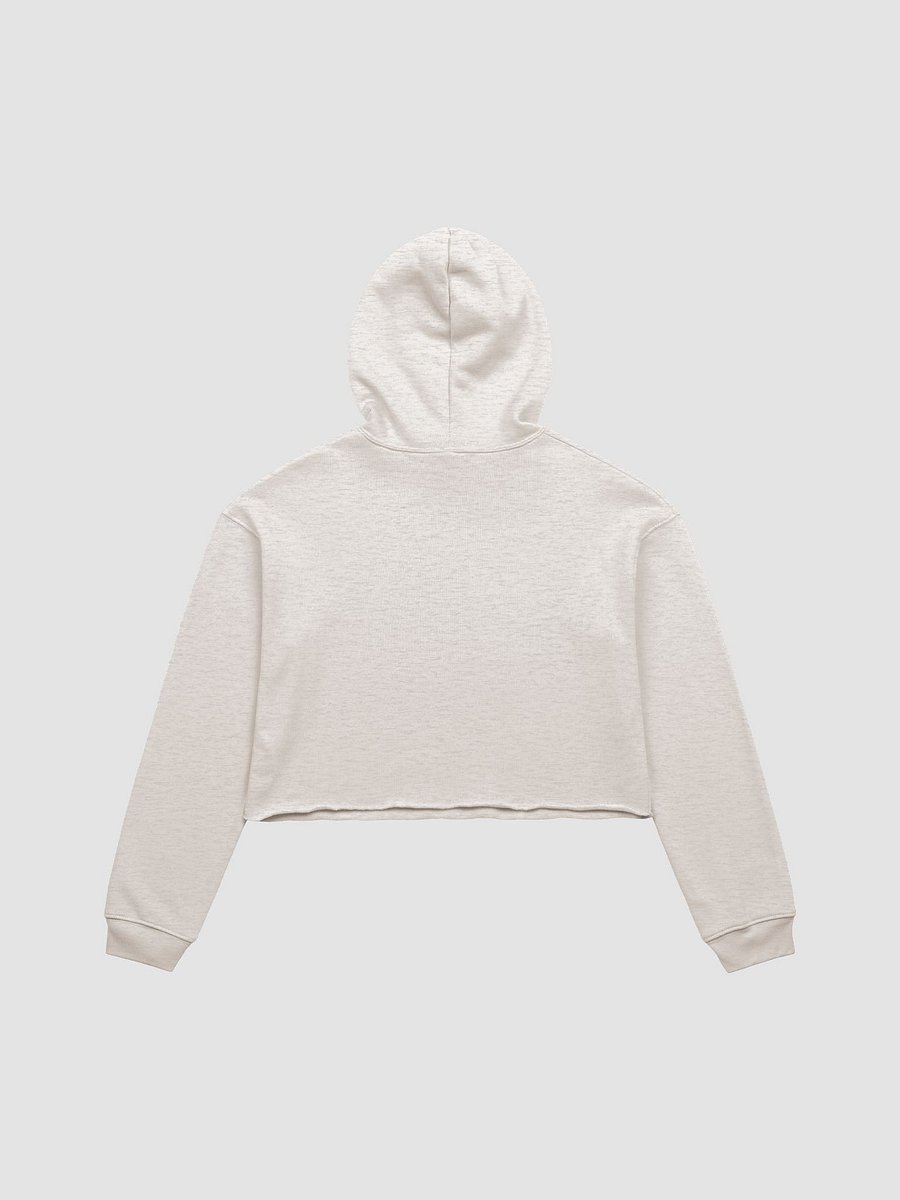 SICKSADWORLD V3 Crop Hoodie product image (16)