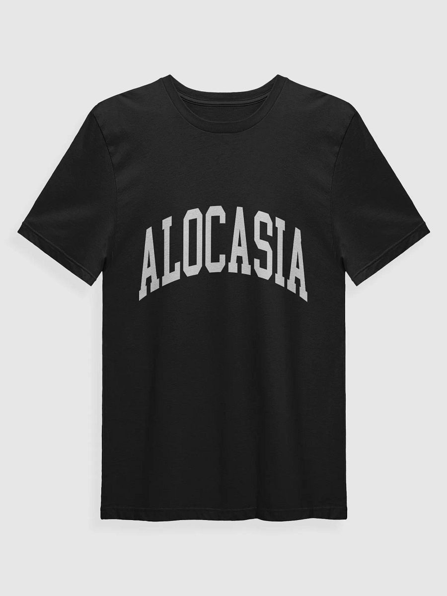 ALOCASIA varsity supersoft unisex tee product image (1)