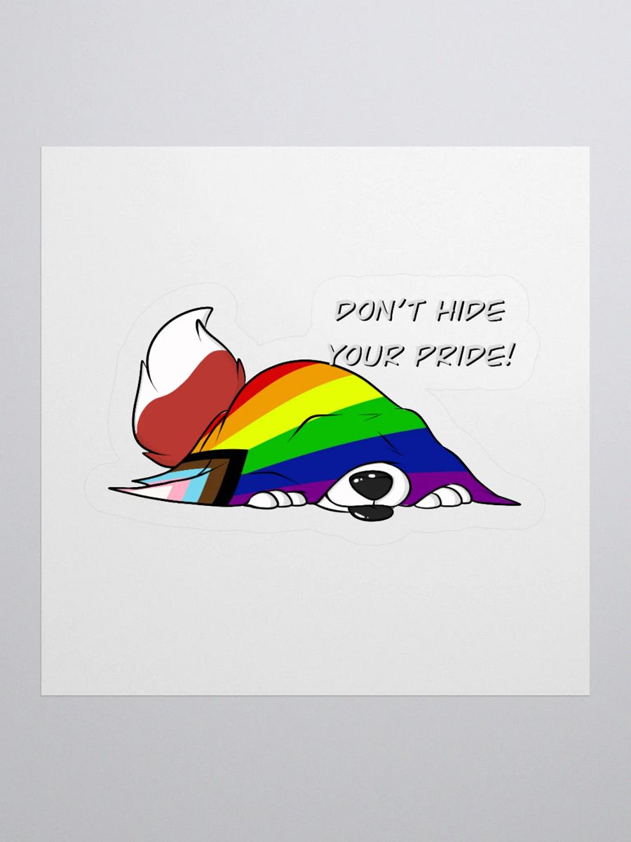 Dont Hide YOUR PRIDE product image (3)