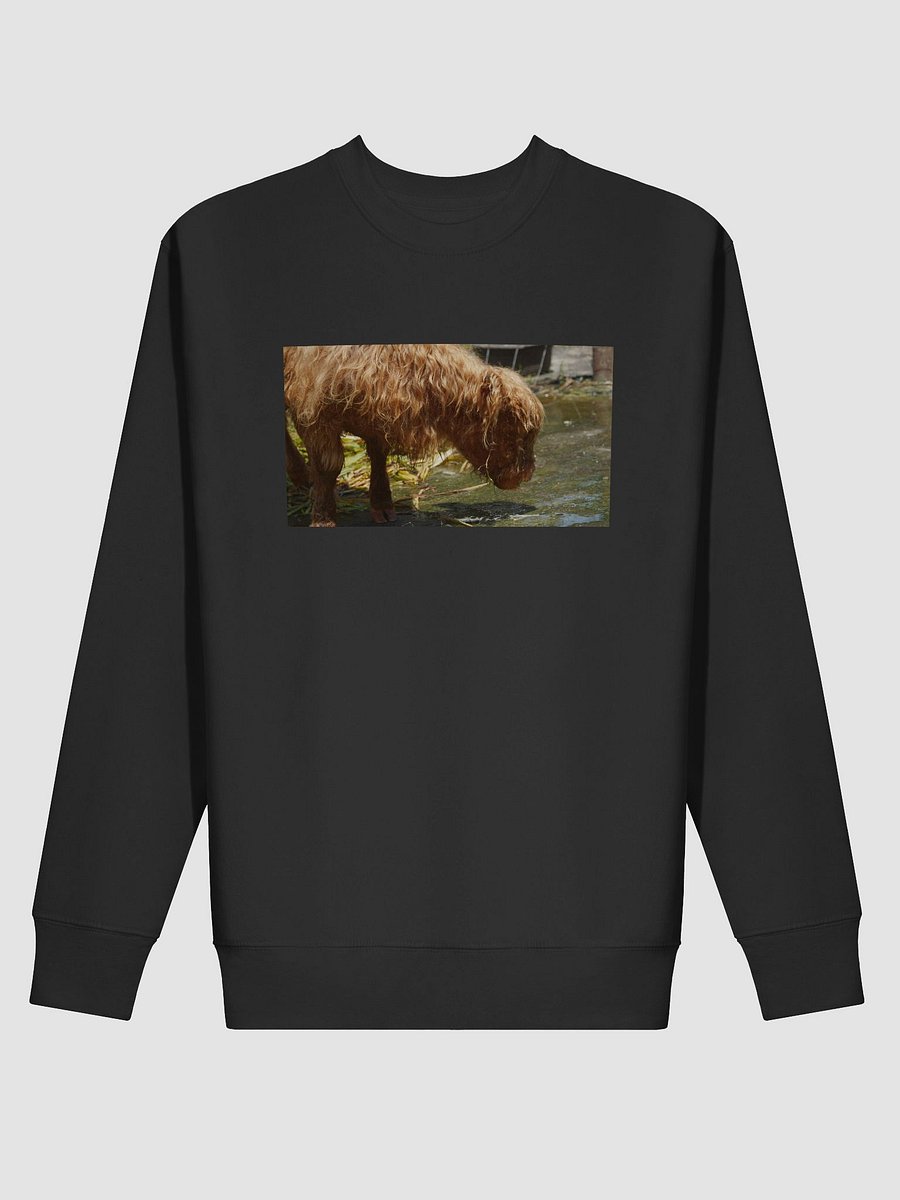 Shaggy Brown Cozy Sweatshirt product image (2)