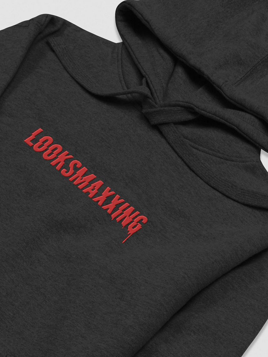 LOOKSMAXXING Embroidered Unisex Hoodie product image (3)