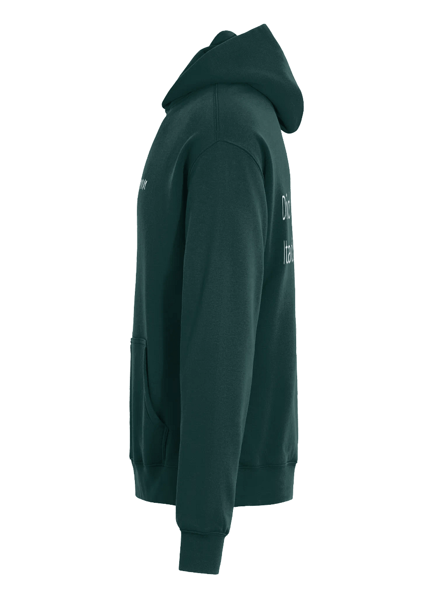 Did you say Itadakimasu? Hoodie product image (6)