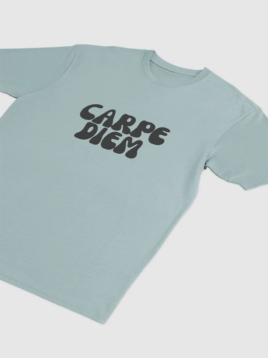 Unisex CARPE DIEM T-Shirt (Heavyweight) product image (7)