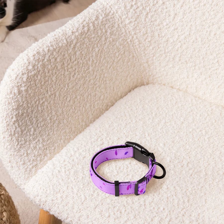 Purple Pet Collar product image (5)
