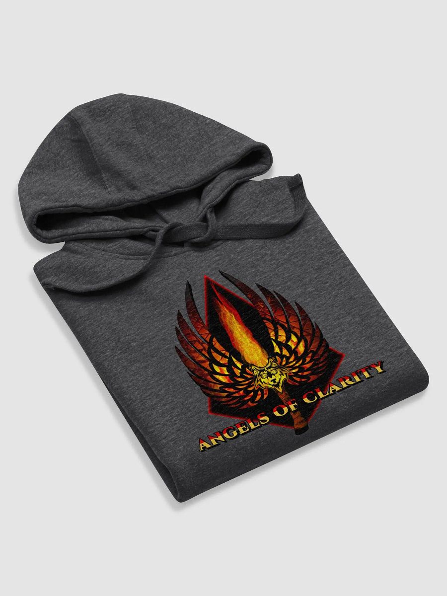 AOC LOGO HOODIE product image (31)