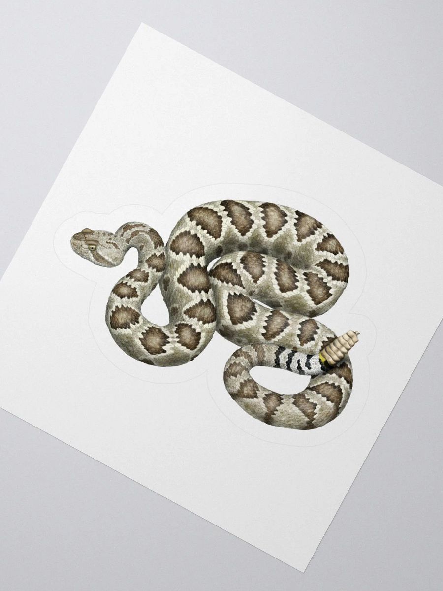 Die-Cut Sticker – Mojave Rattlesnake product image (2)