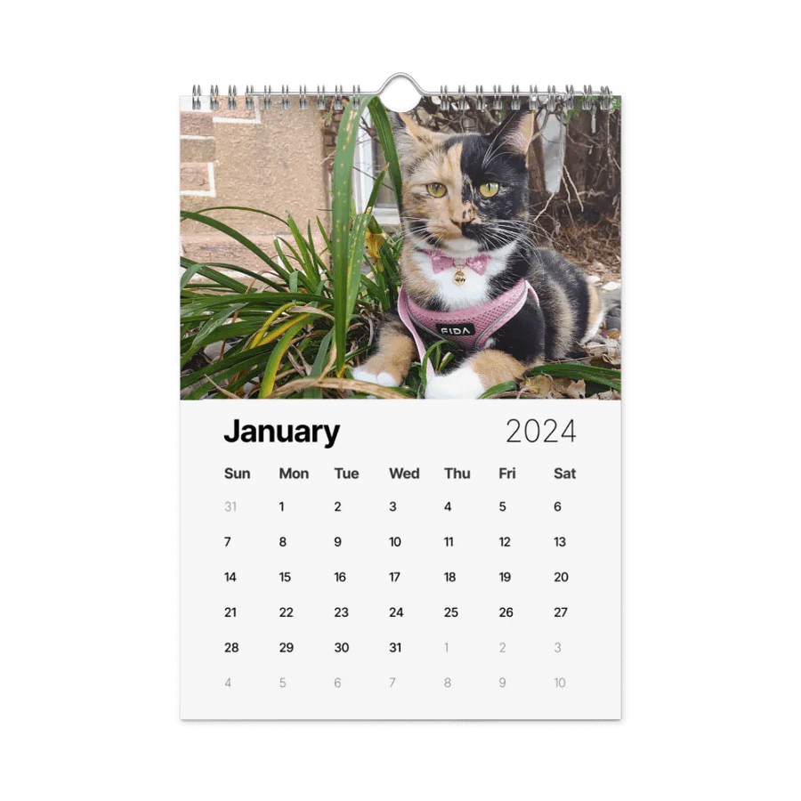 2024 Lyra Calendar product image (15)