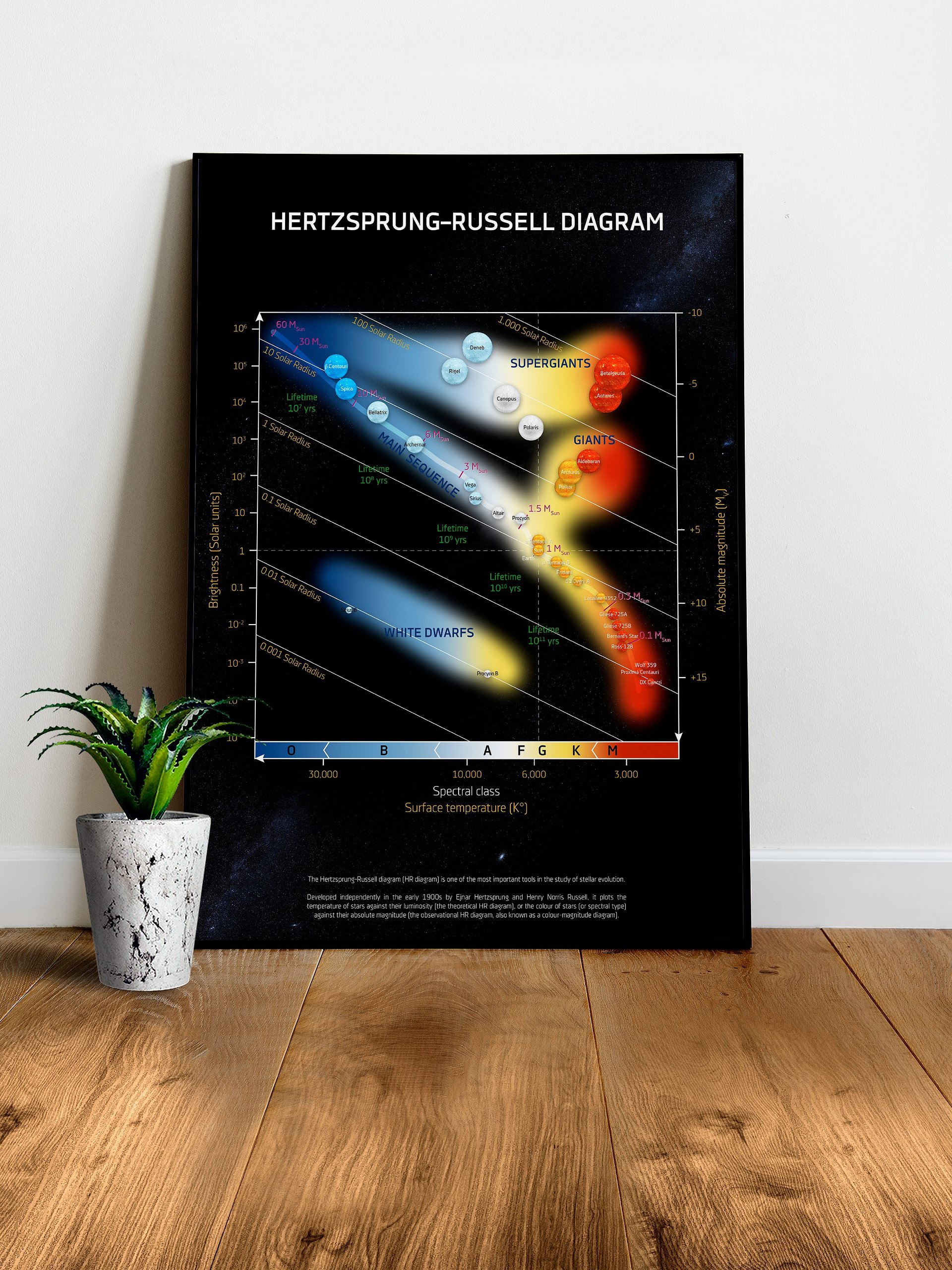 Hertzsprung-Russell diagram, HR diagram/HRD chart — science poster, space art poster, science gifts, nerdy gifts, NASA poster infographics product image (1)