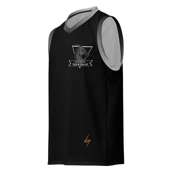Tenebrous Thestrals Team Jersey product image (1)