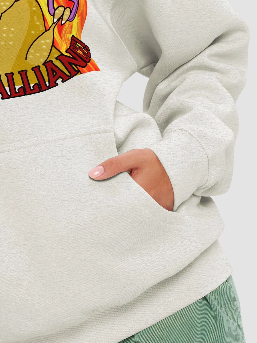 Alliance Premium Pullover Hoodie product image (7)