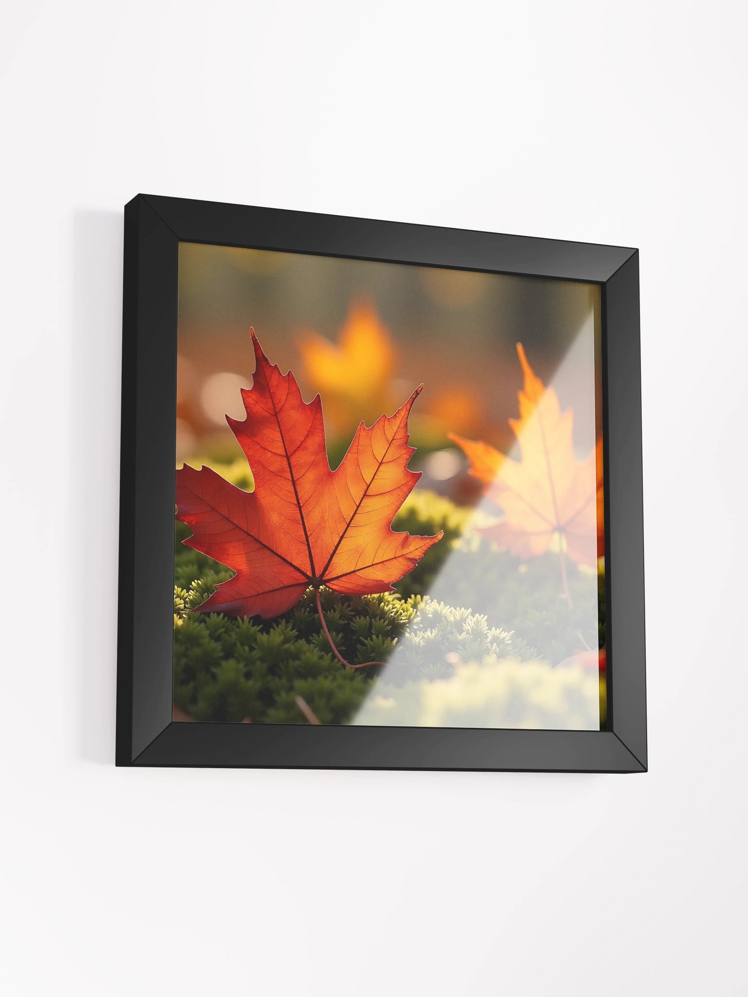 Maple Leaf on Forest Floor product image (9)