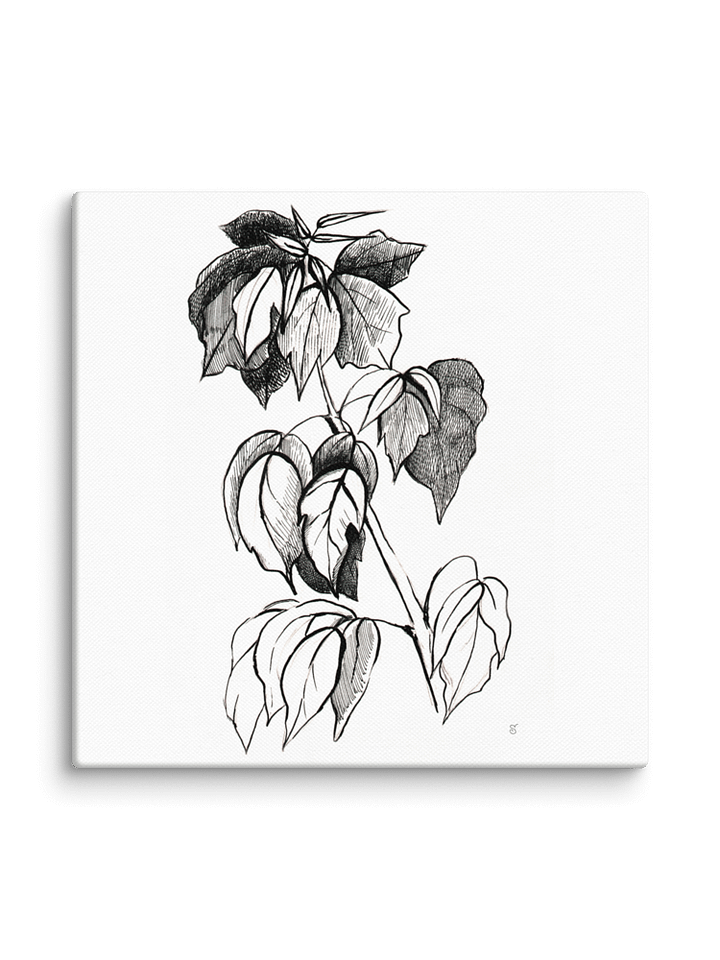 Botanical Line Art Canvas Print - Stylish Graphical Twig product image (2)