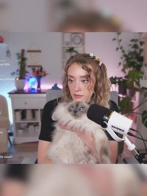 Ollie is the main character  #twitch #twitchclip #cats #catsoftiktok #gamergirl #cozygamer #zelda #cozy 