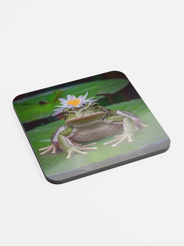 Frog Coaster product image (2)