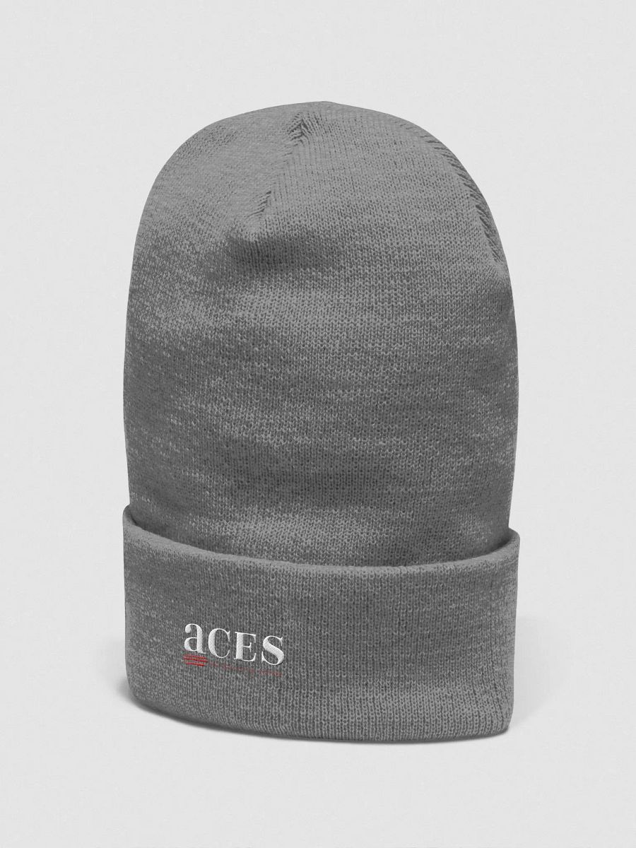 ACES logo cuffed beanie product image (12)