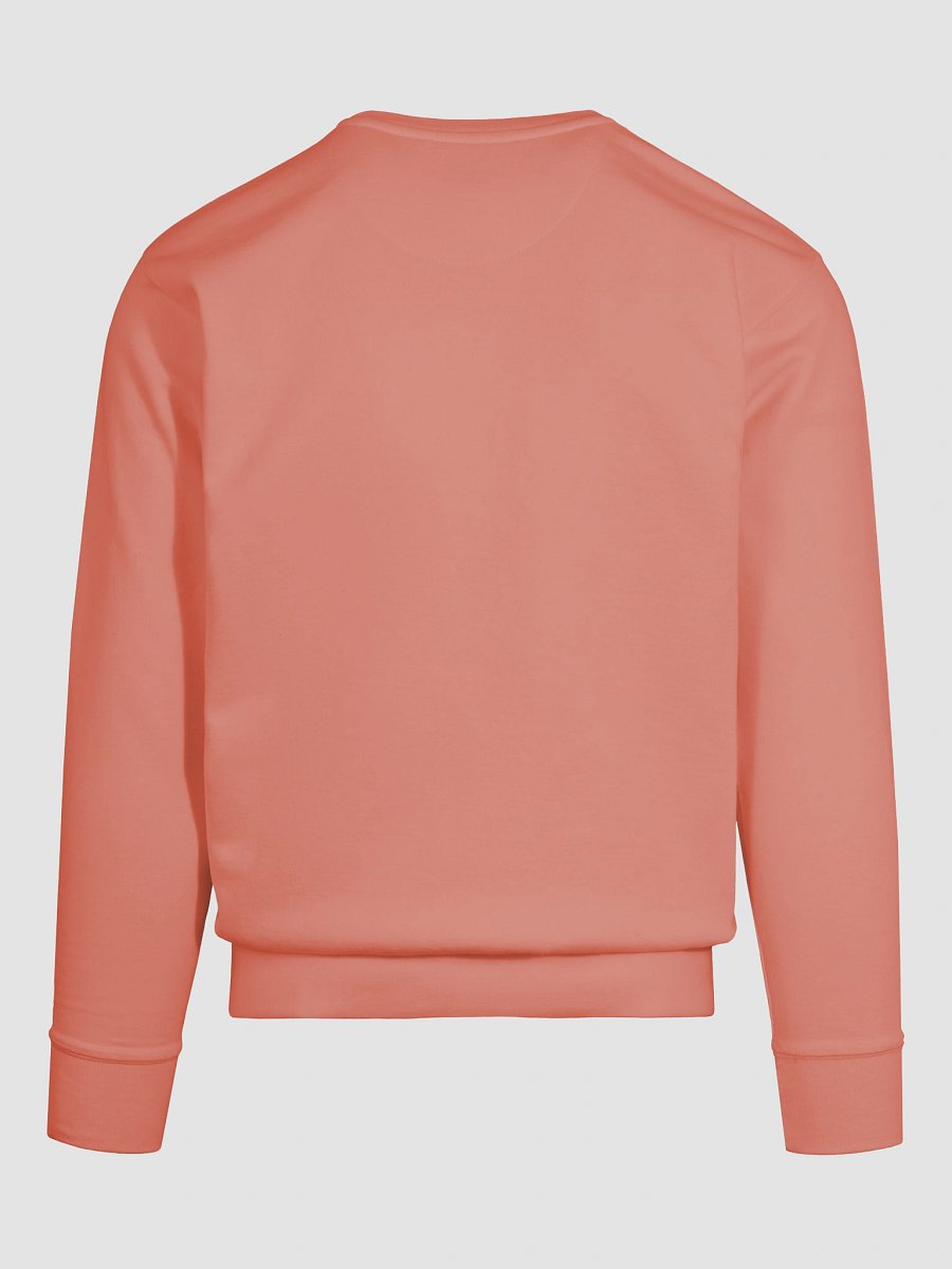 Western Turtle Cowboy Sweatshirt product image (11)