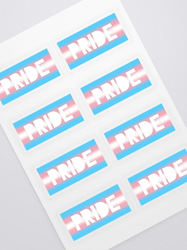 Trans Pride On Display - Stickers product image (1)