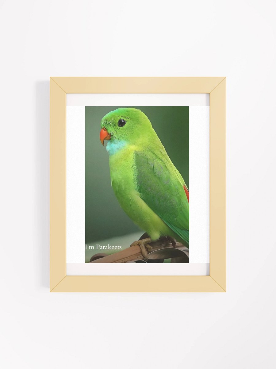 Framed High-Quality Matte Poster (in) Parakeets product image (51)