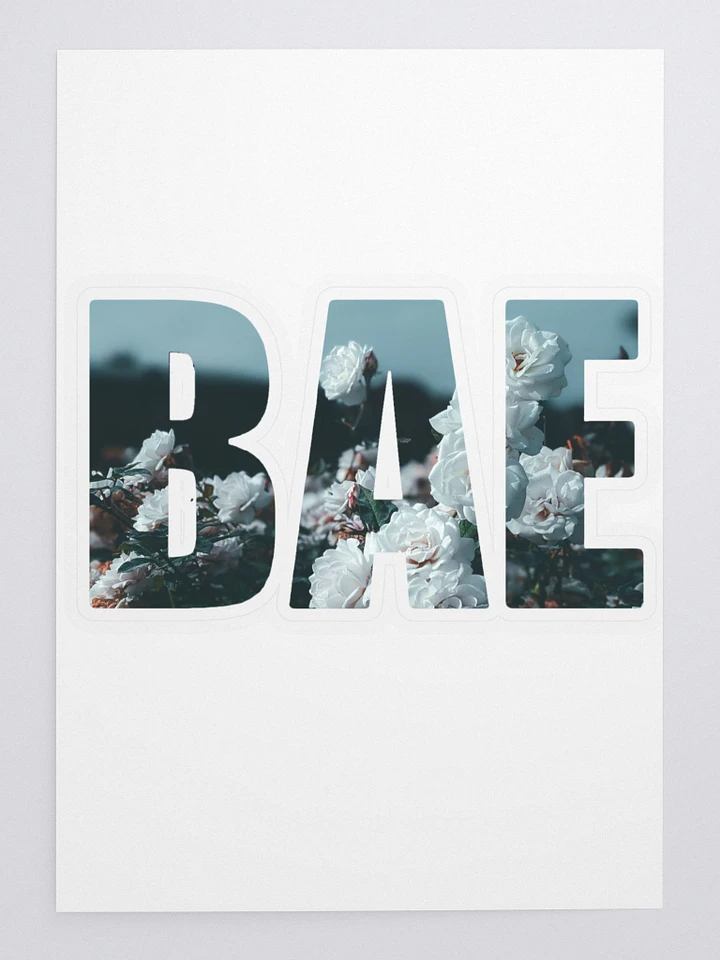 BAE Logo COLD SUMMER COLLECTION product image (1)
