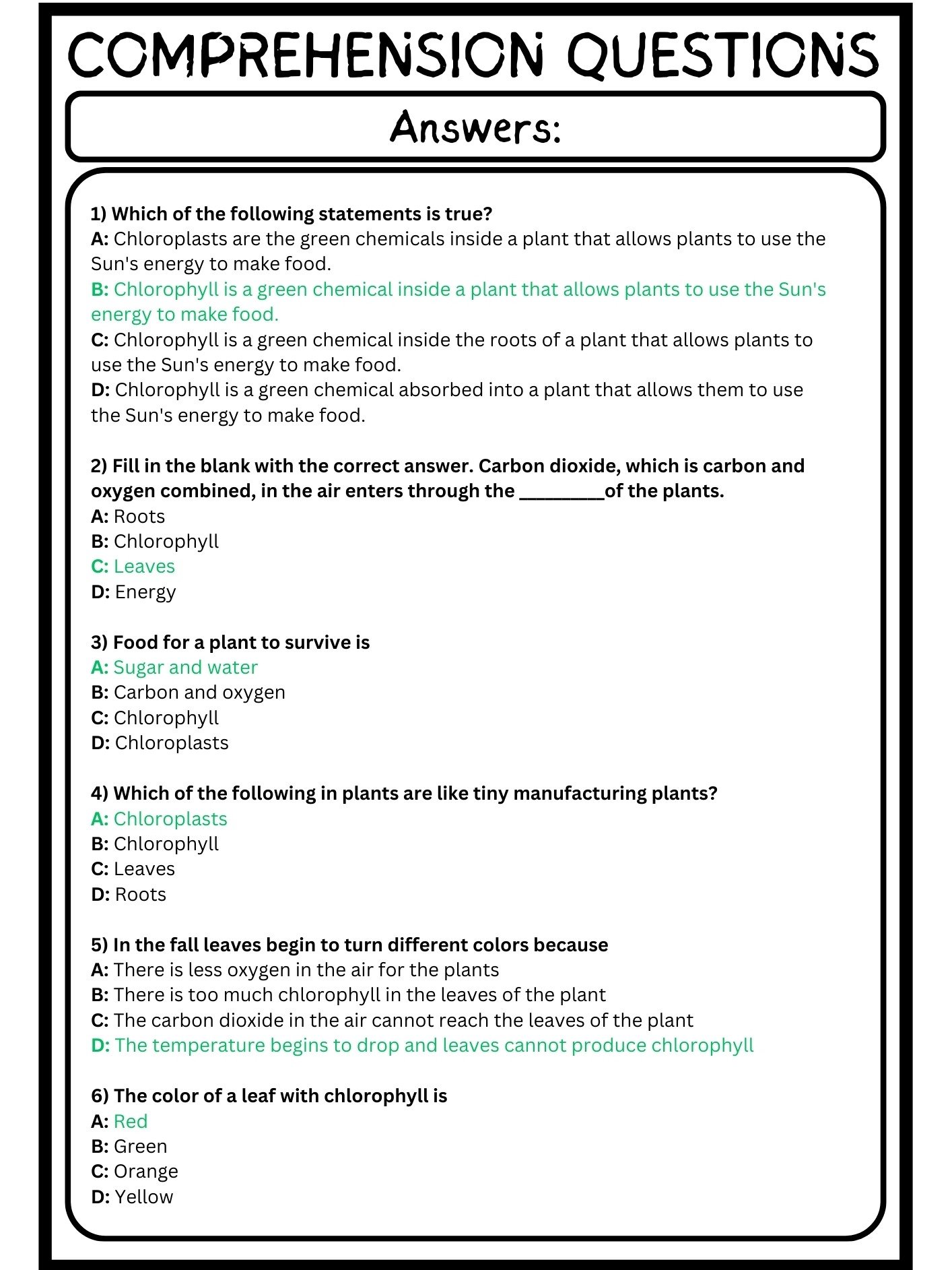 reading passages on photosynthesis worksheets with questions product image (4)