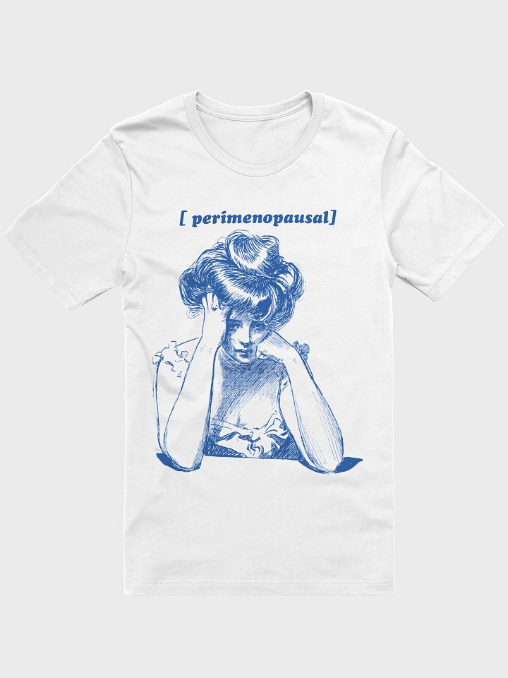Perimenopausal Mood tee product image (97)