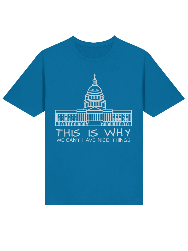 This Is Why We Can’t Have Nice Things T-Shirt product image (2)